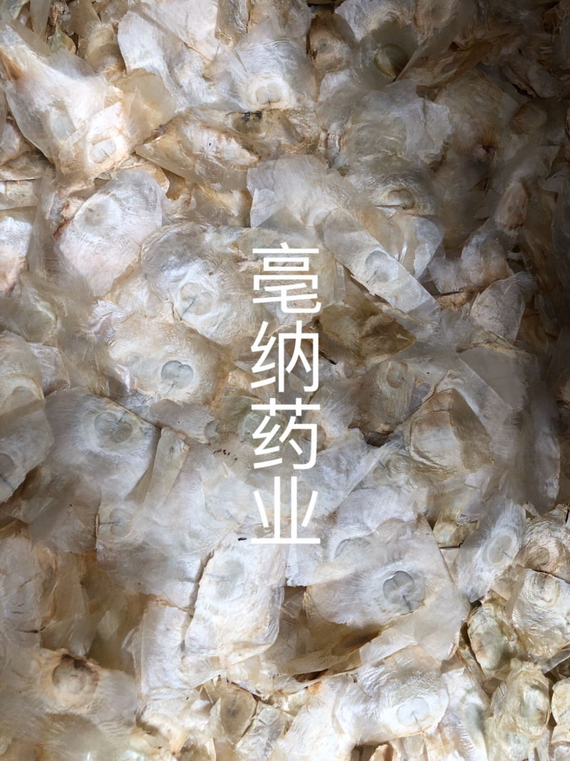 木蝴蝶玉蝴蝶千层纸一公斤起批大货批发