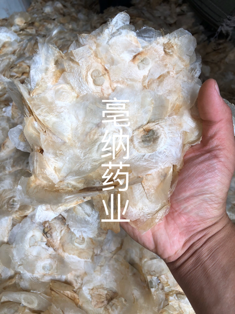 木蝴蝶玉蝴蝶千层纸一公斤起批大货批发