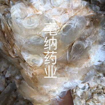 木蝴蝶玉蝴蝶千层纸一公斤起批大货批发