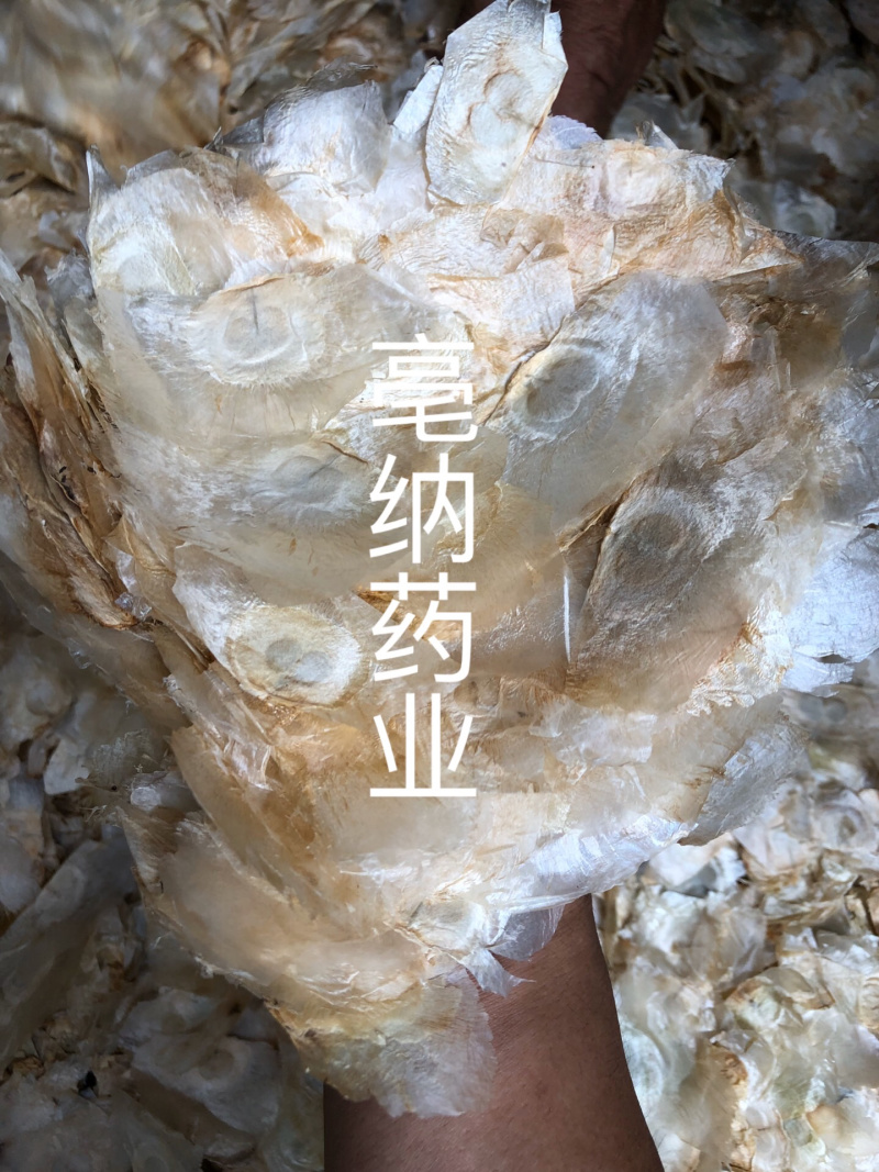 木蝴蝶玉蝴蝶千层纸一公斤起批大货批发