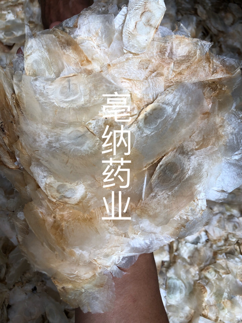 木蝴蝶玉蝴蝶千层纸一公斤起批大货批发