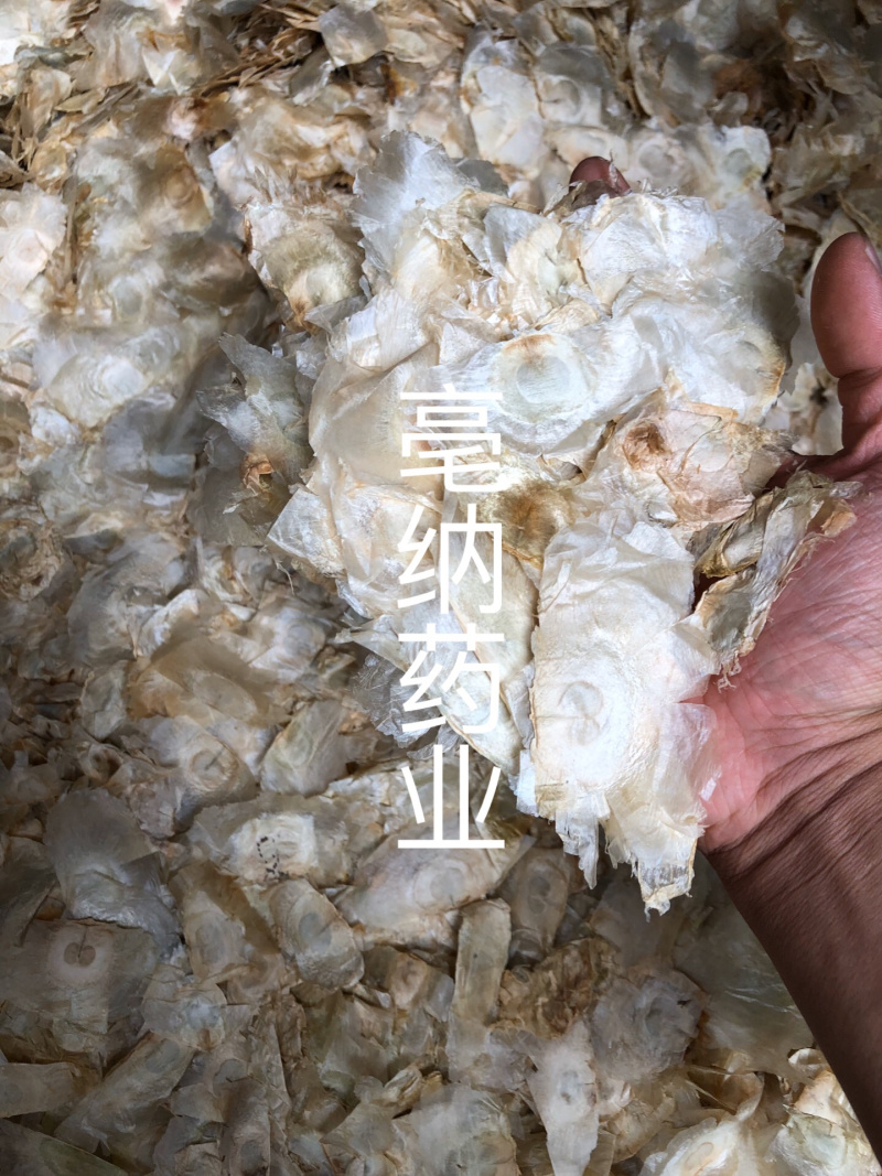 木蝴蝶玉蝴蝶千层纸一公斤起批大货批发
