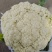 **纸袋白面有机花菜大量上市，大量出售，欢迎选购！！！