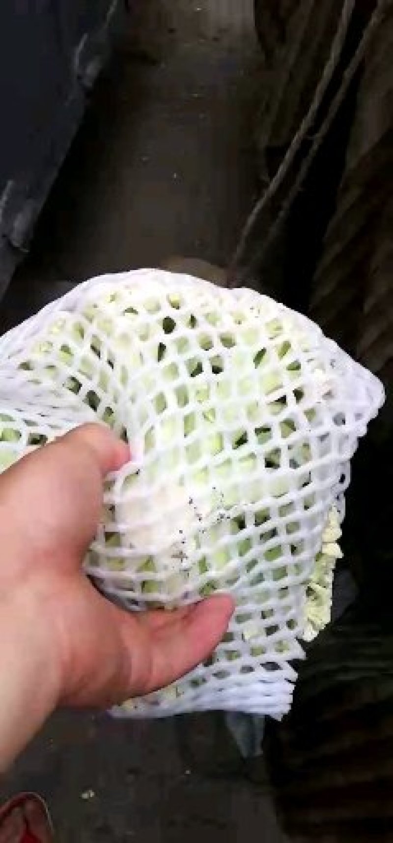 **纸袋白面有机花菜大量上市，大量出售，欢迎选购！！！