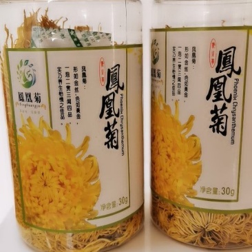凤凰菊茶产自贵州最高峰（2900.6平米）