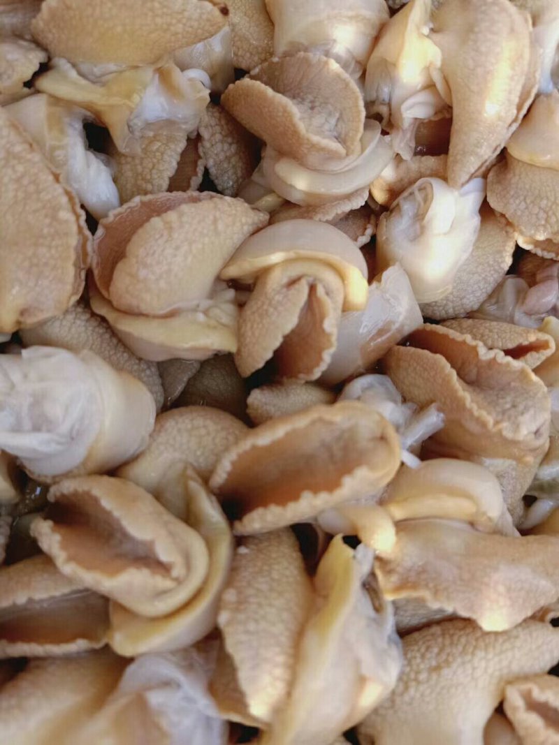 白玉蜗牛纯肉加工半成品