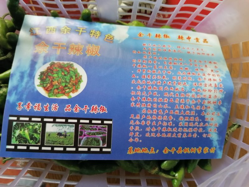 余干枫树辣椒，余干丰收辣椒，该品种上市早、果实皮薄肉嫩