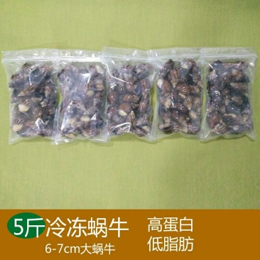 白玉蜗牛冷冻半成品带壳蜗牛