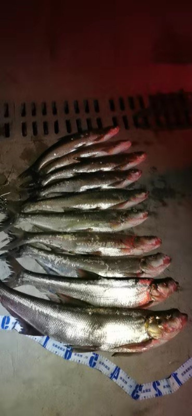 长期出售