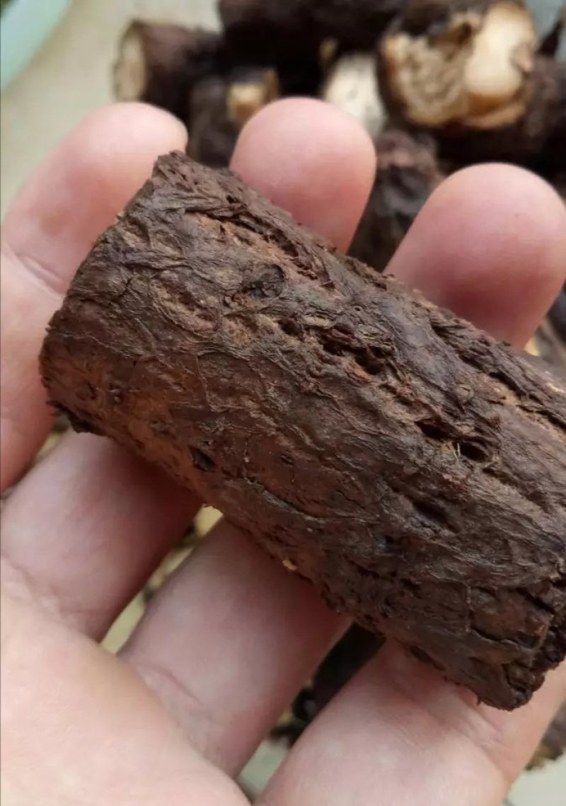 泡桐根，产地直供，质优价实，品质保证，药典标准，地道良药