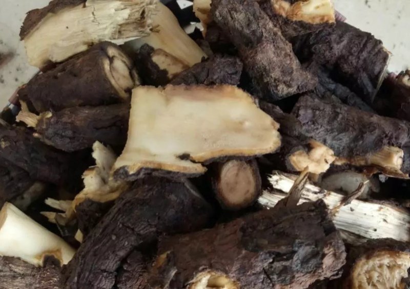 泡桐根，产地直供，质优价实，品质保证，药典标准，地道良药