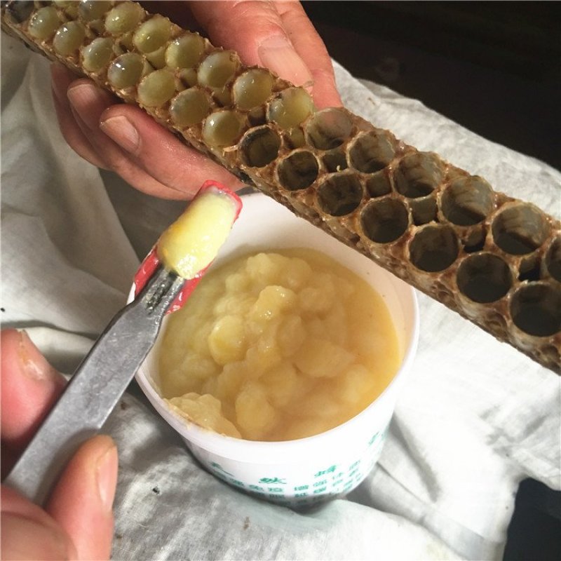 倒计时开始了，本蜂场不屯货，需要的赶紧订购！