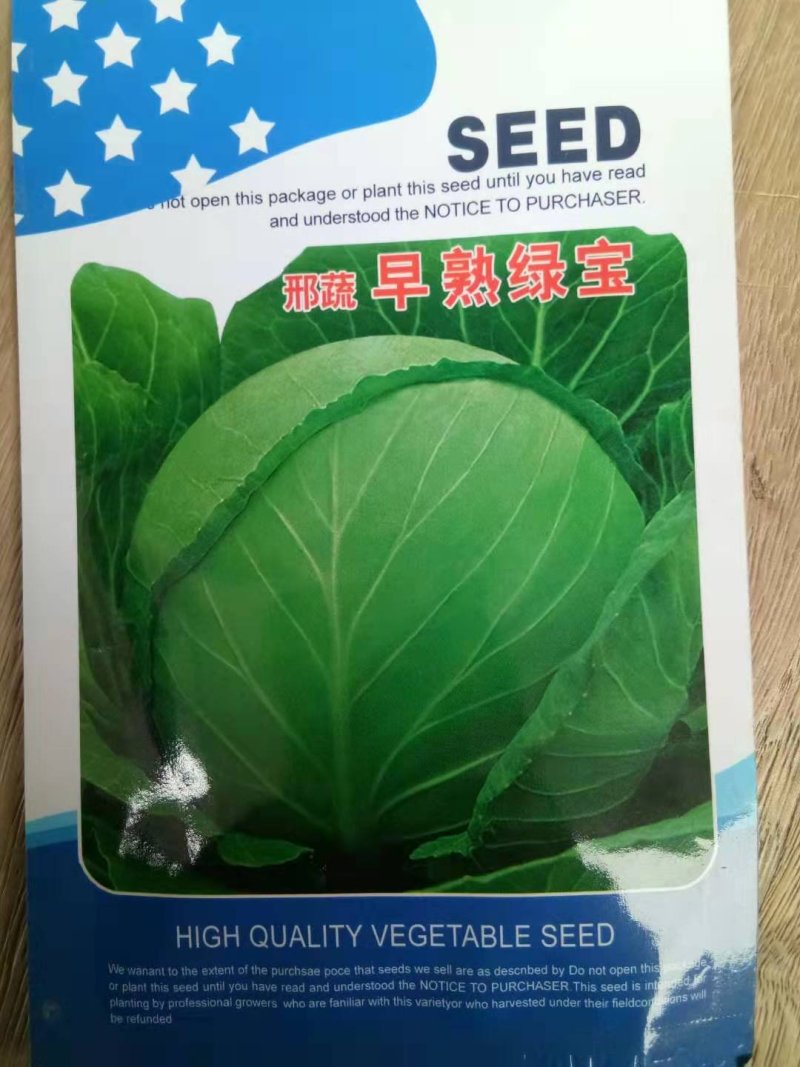 早春高圆甘兰早熟绿宝苗厂直供