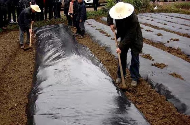 地膜，黑地膜，白地膜，长寿无滴膜，精品5+1水晶PO膜