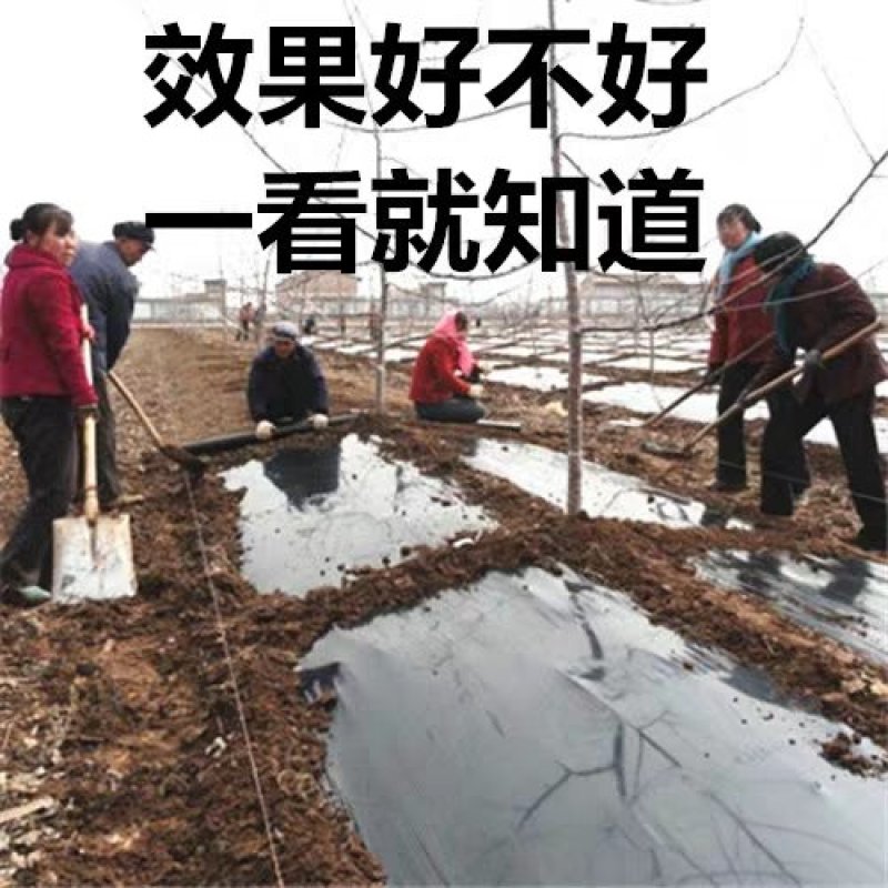 地膜，黑地膜，白地膜，长寿无滴膜，精品5+1水晶PO膜
