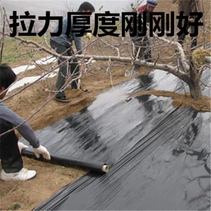 地膜，黑地膜，白地膜，长寿无滴膜，精品5+1水晶PO膜