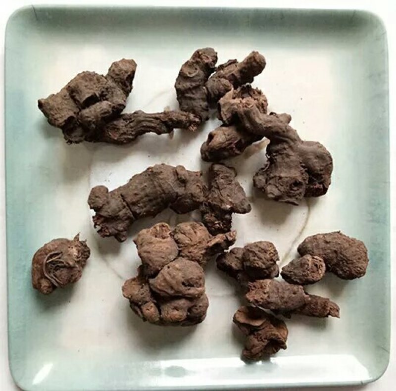 落新妇产地直供支持线上交易可搭配多品种采购大货联系