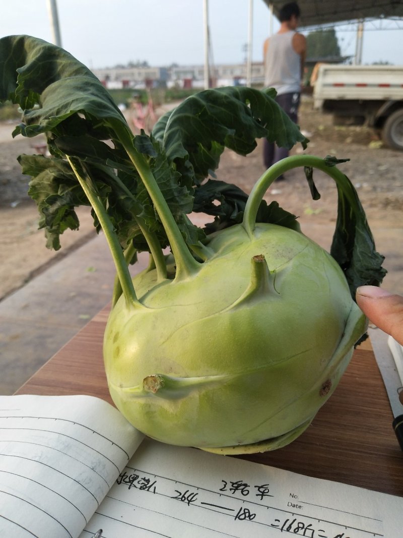 皮兰