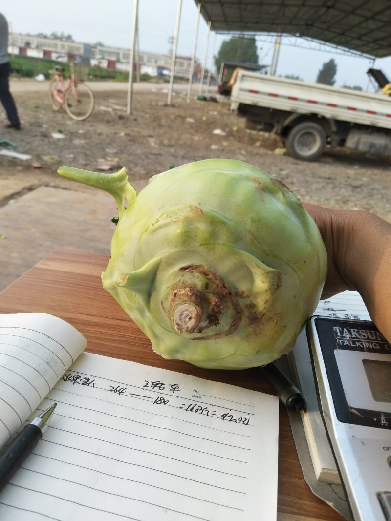 皮兰