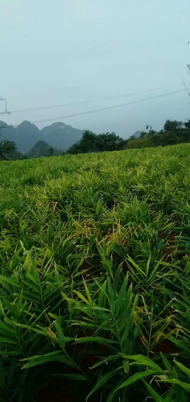 物美价廉。货真价实