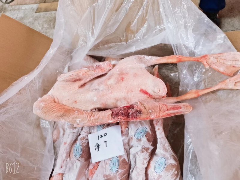 批发老鹅批发白条鹅批发鲜冻大鹅批发东北大鹅