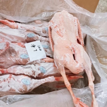 批发老鹅批发白条鹅批发鲜冻大鹅批发东北大鹅