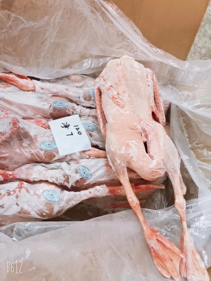 批发老鹅批发白条鹅批发鲜冻大鹅批发东北大鹅