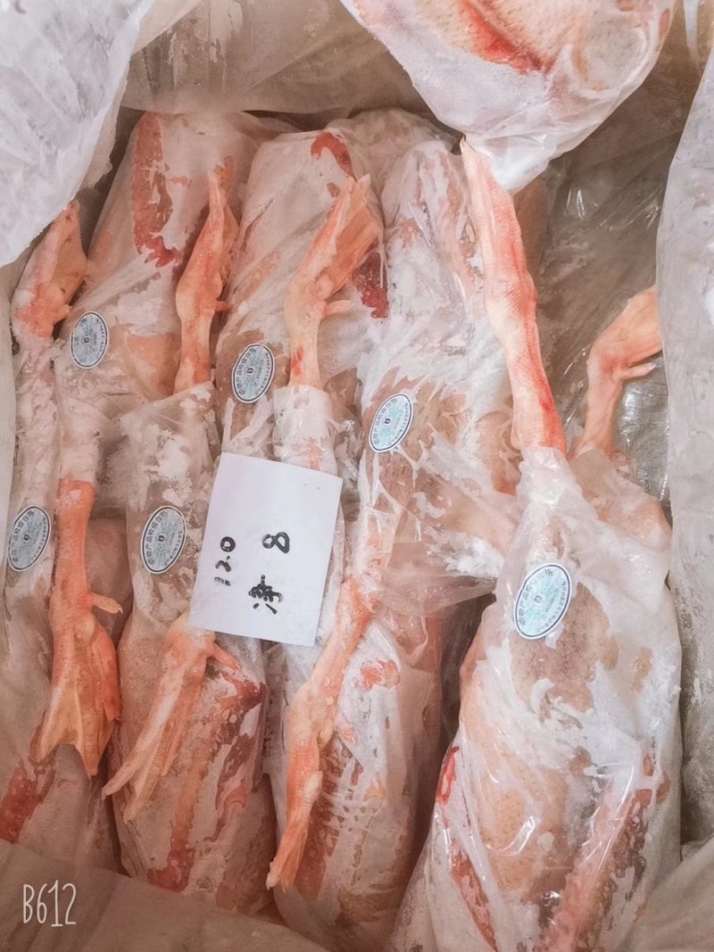 批发老鹅批发白条鹅批发鲜冻大鹅批发东北大鹅