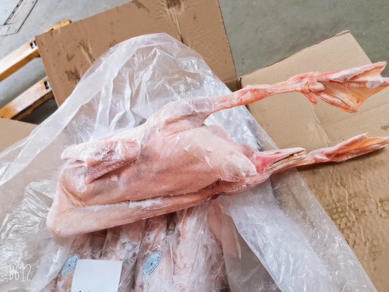批发老鹅批发白条鹅批发鲜冻大鹅批发东北大鹅