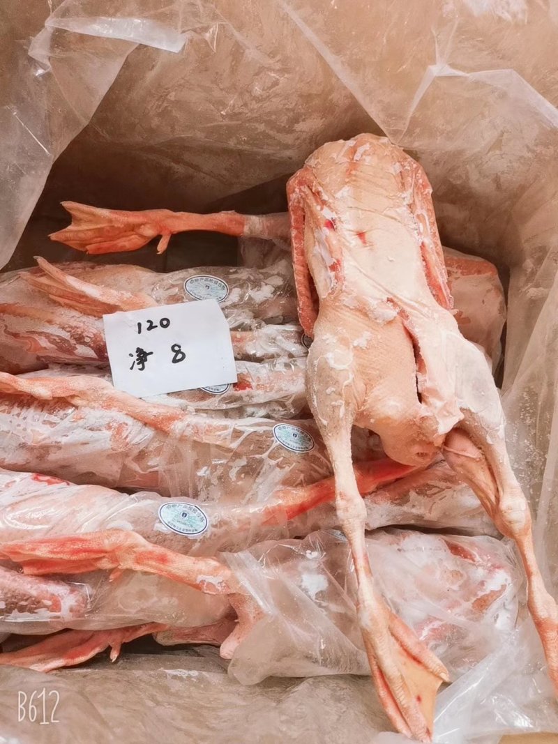批发老鹅批发白条鹅批发鲜冻大鹅批发东北大鹅