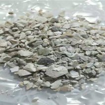 蛤壳产地直供支持线上交易可搭配多品种采购大货联系客服