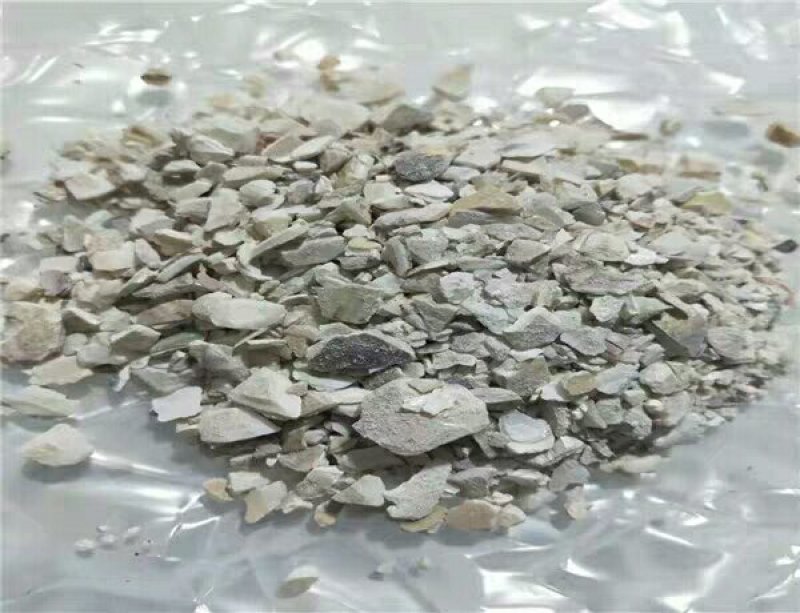 蛤壳产地直供支持线上交易可搭配多品种采购大货联系客服
