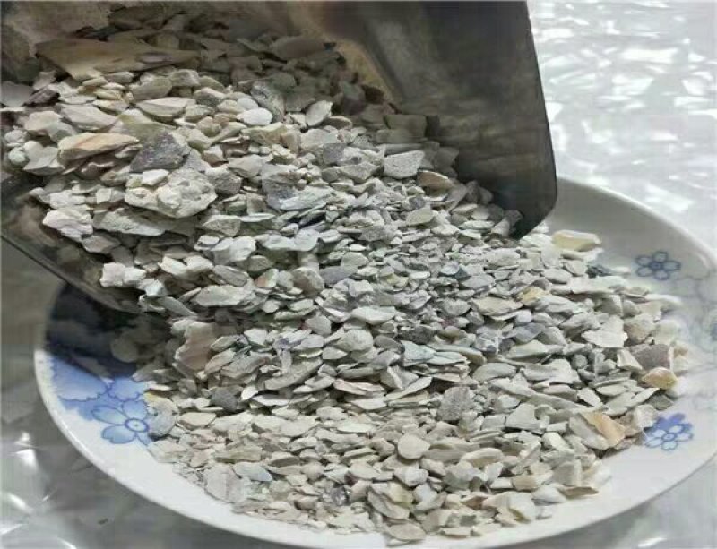 蛤壳产地直供支持线上交易可搭配多品种采购大货联系客服