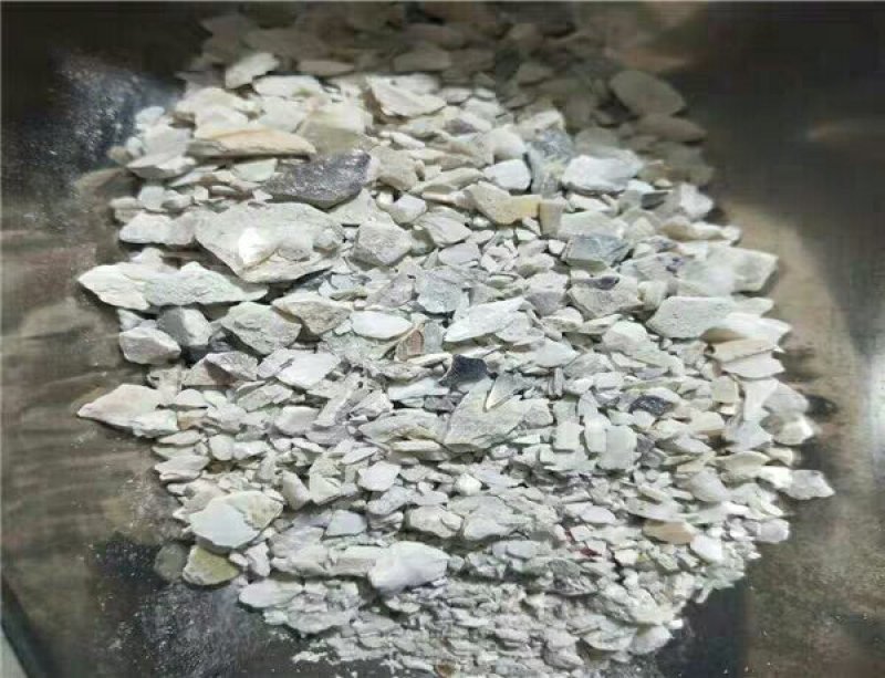 蛤壳产地直供支持线上交易可搭配多品种采购大货联系客服