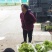 儿菜