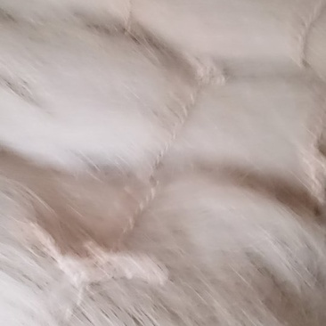 手工红薯粉条