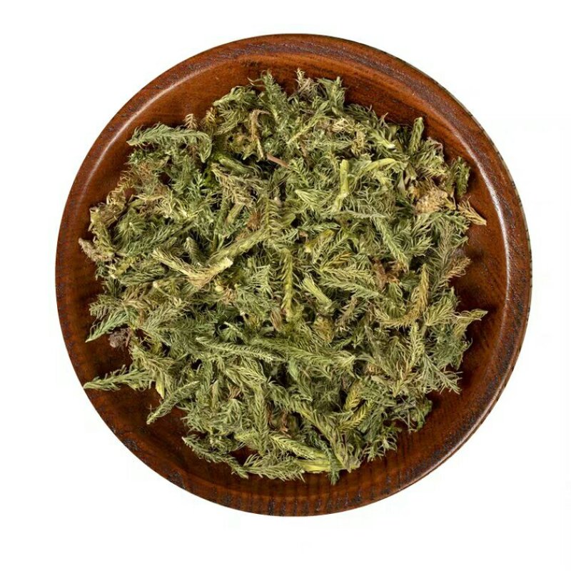 筋骨草产地直供支持线上交易可搭配多品种采购大货联系
