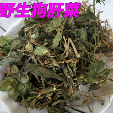 狗肝菜产地直供支持线上交易可搭配多品种采购大货联系