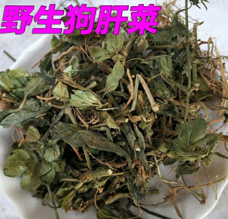 狗肝菜产地直供支持线上交易可搭配多品种采购大货联系