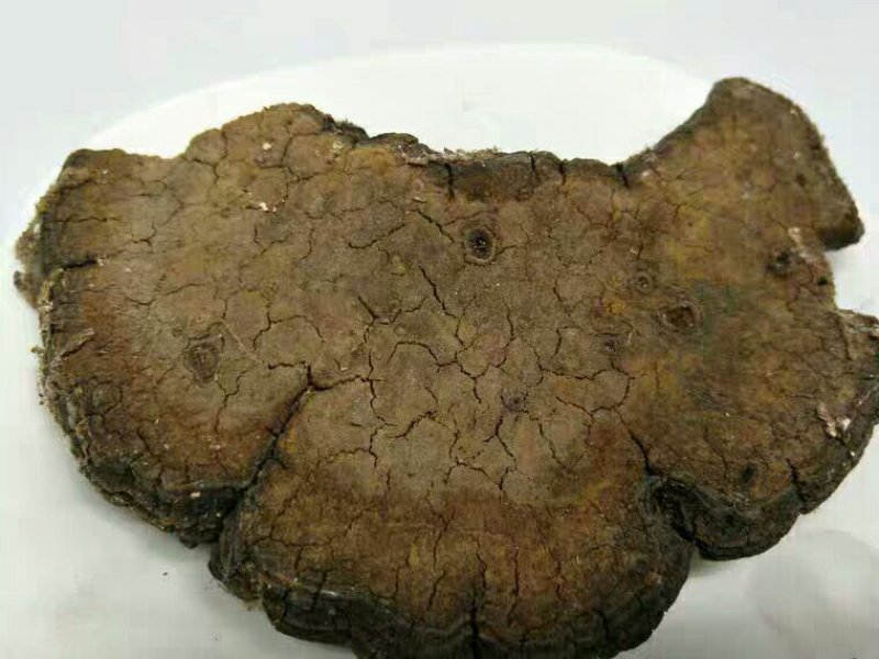 槐耳产地直供支持线上交易可搭配多品种采购大货联系