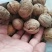 传统核桃通货