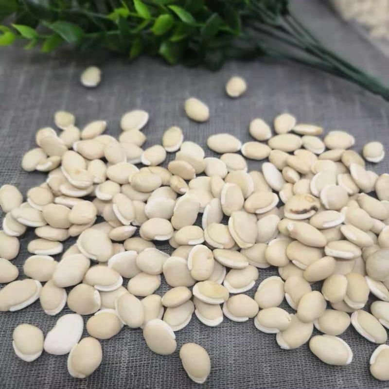 白扁豆中药材白扁豆无硫净货保正品批发零售中药材