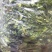 辣椒皮〈干货〉～绿色辣椒皮质量好