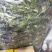辣椒皮〈干货〉～绿色辣椒皮质量好