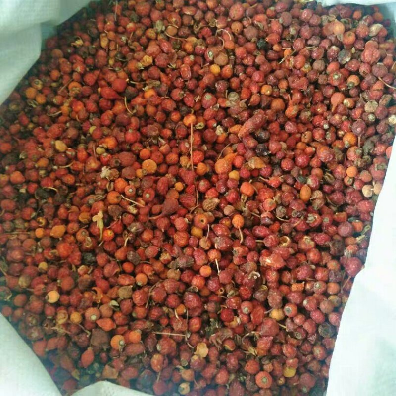 蔷薇花产地直供支持线上交易可搭配多品种采购