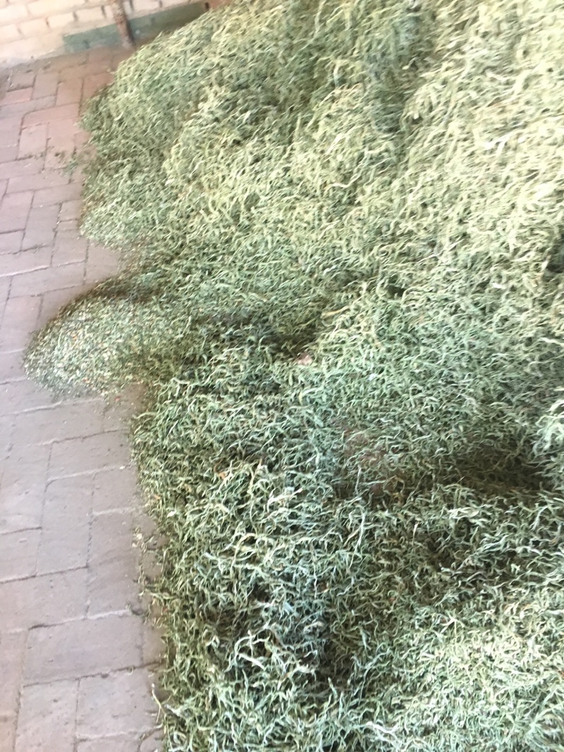 架豆王豆角丝，天然晒干
