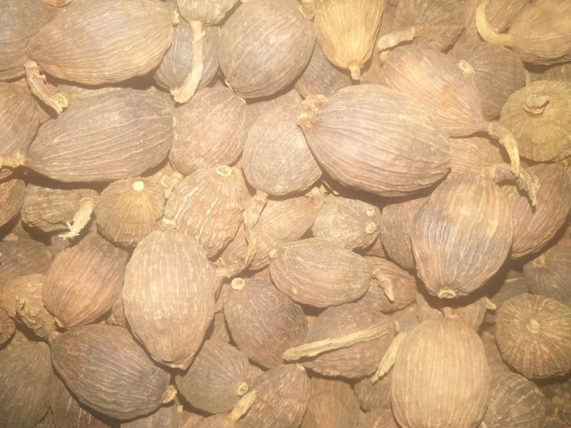 草果草果草果草果草果草果
