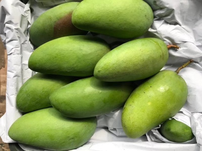 大青芒带箱10斤45元