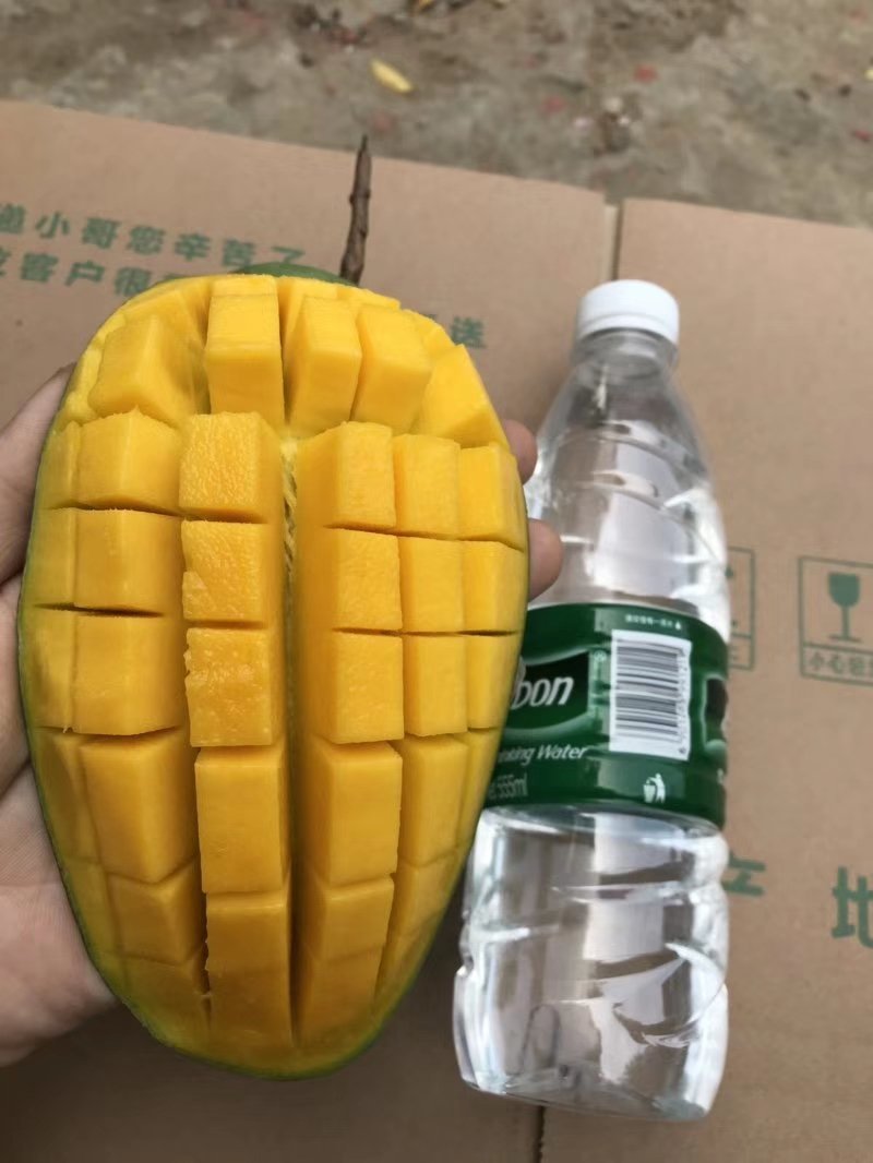 大青芒带箱10斤45元