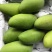 大青芒带箱10斤45元